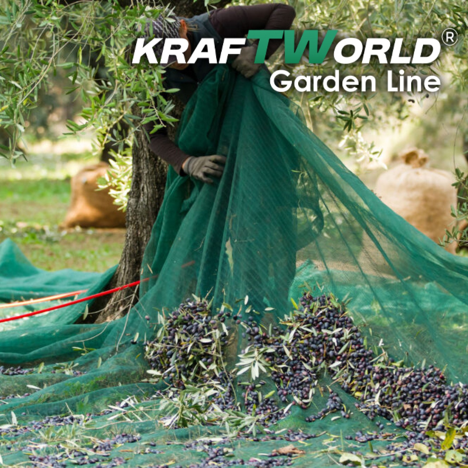 Δίχτυ Συλλογής Ελιών 6x12m – Ελαιόδιχτο KraftWorld Επαγγελματική Αντοχή & UV Προστασία